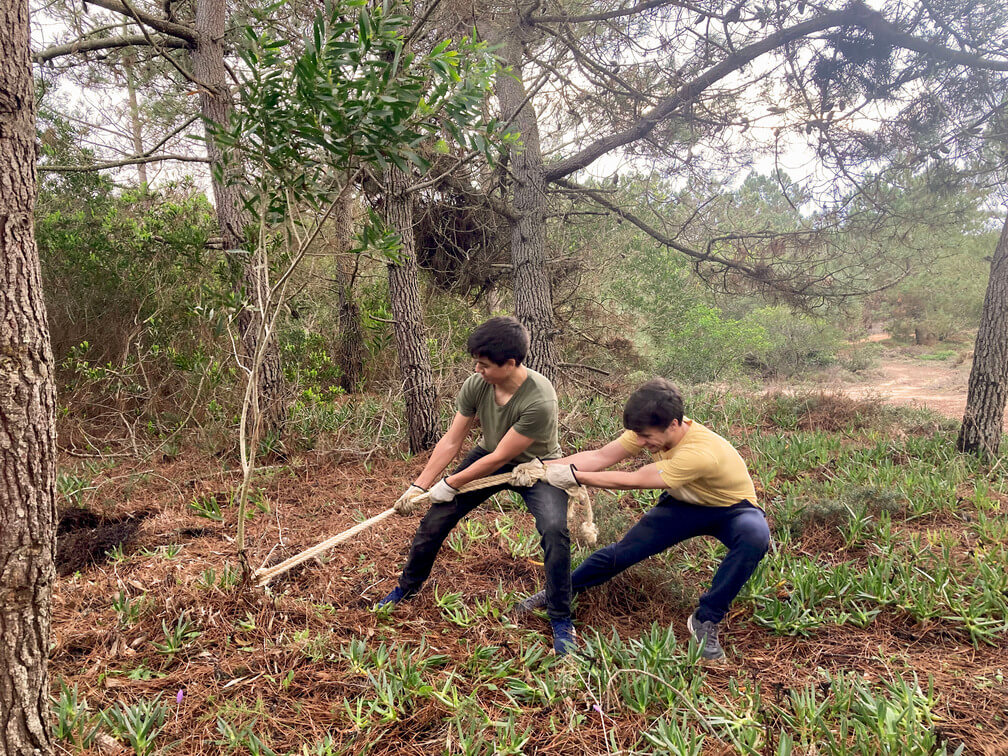 Acção de conservação e educação ambiental nos Zimbrais dos Alteirinhos