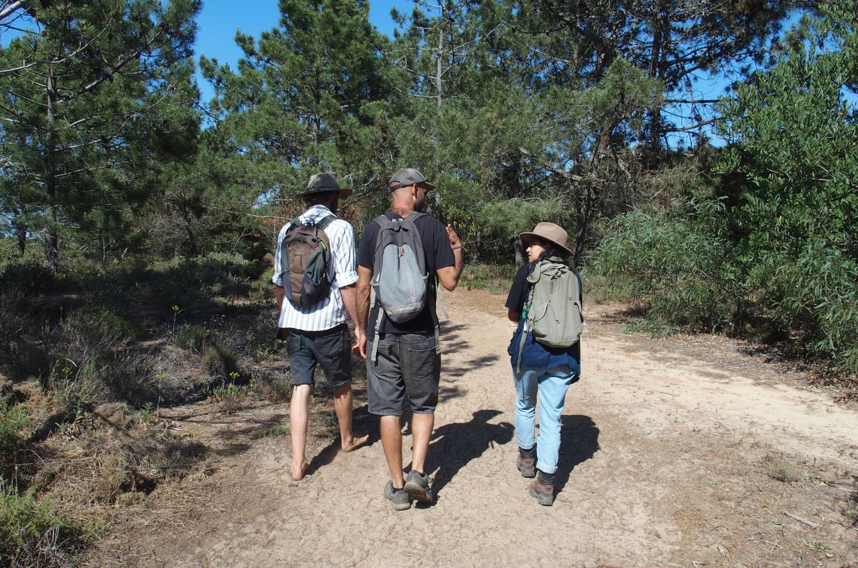 voluntários a caminhar semana espécies invasoras