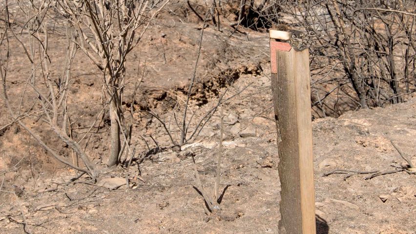 incêndio agosto 2023 odemira poste rota vicentina queimado