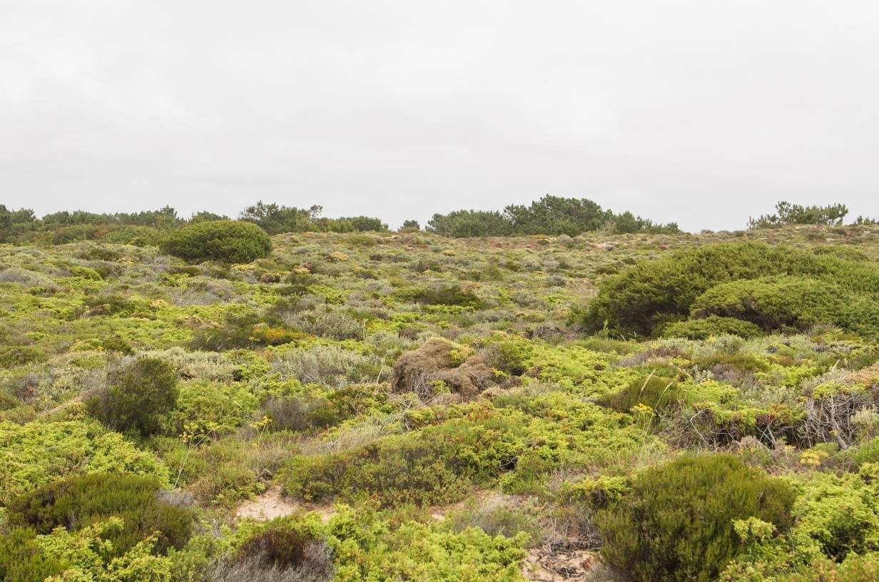 Área-piloto dos Alteirinhos