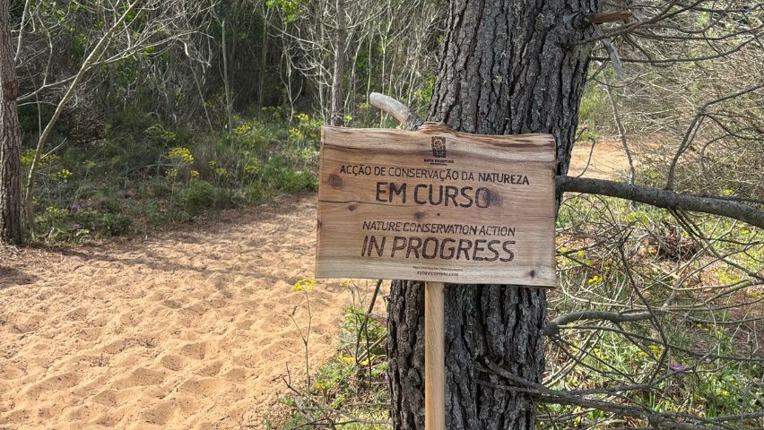 imagem de um sinal de aviso