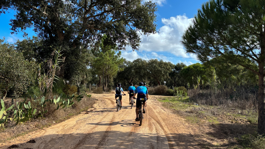 passeio de bicicleta