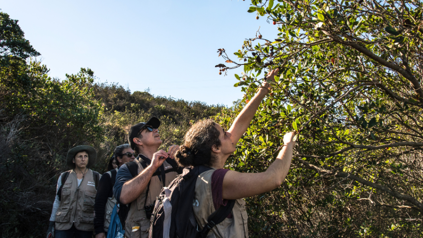 voluntarios no trabalho