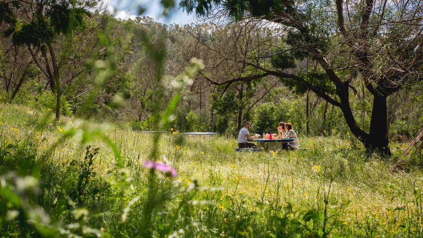 Percursos Circulares