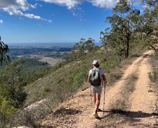 Homem de costas apoiado em bastões de caminhada a andar num trilho